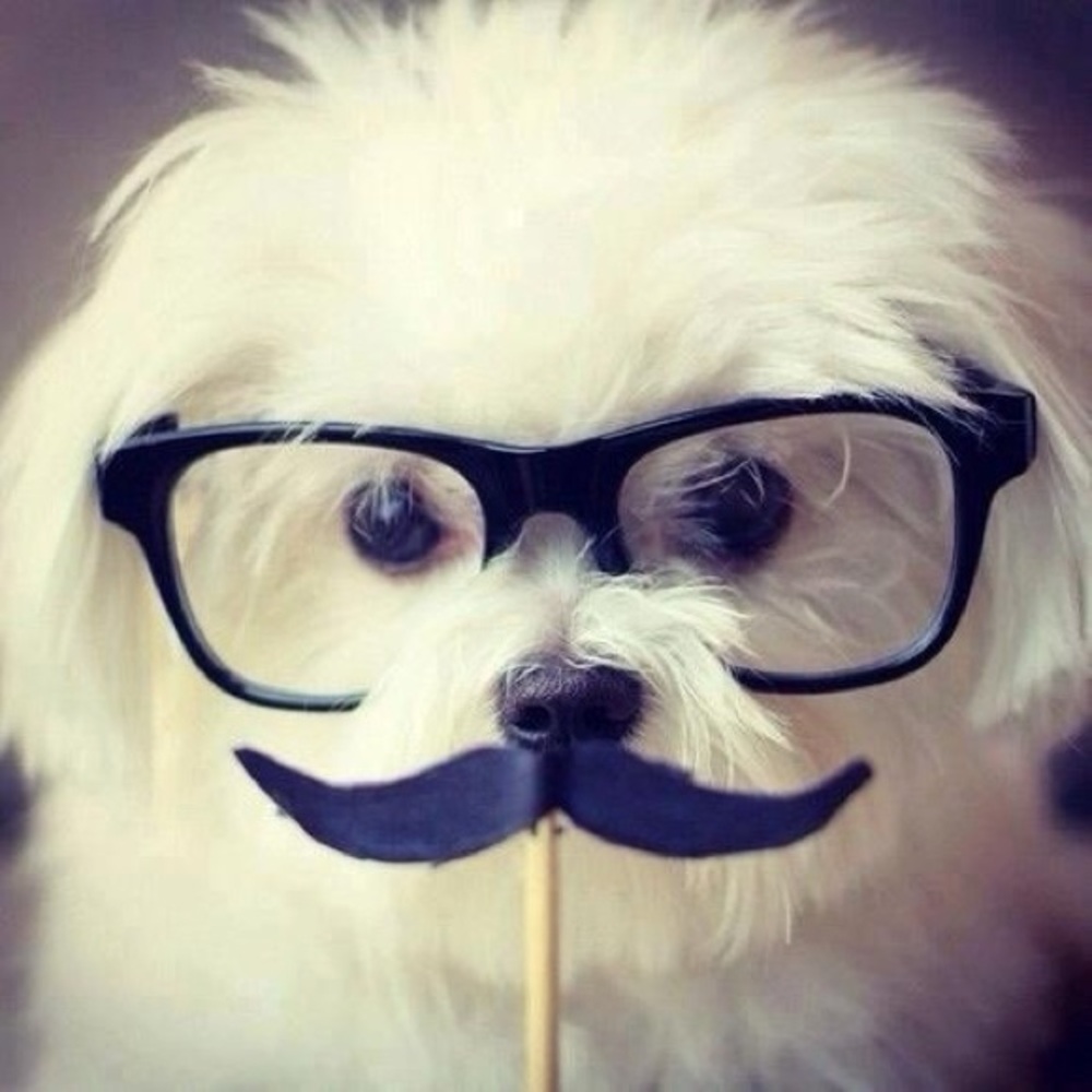 Meet your Posher, Mimiissocool